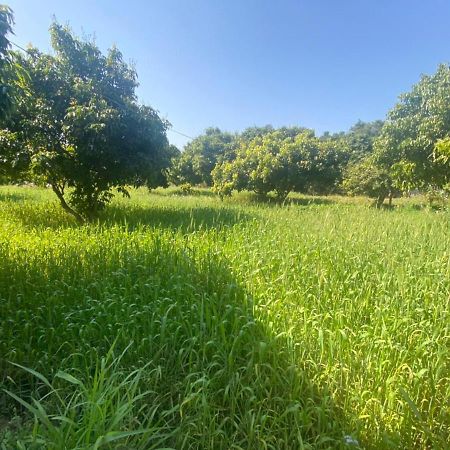 Lushy Days Boom Camp Hotell Tanakpur Eksteriør bilde